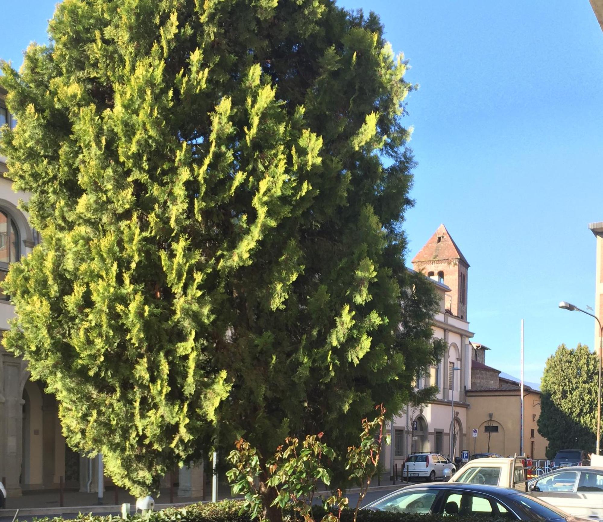 San Donato Flat Διαμέρισμα Φλωρεντία Εξωτερικό φωτογραφία
